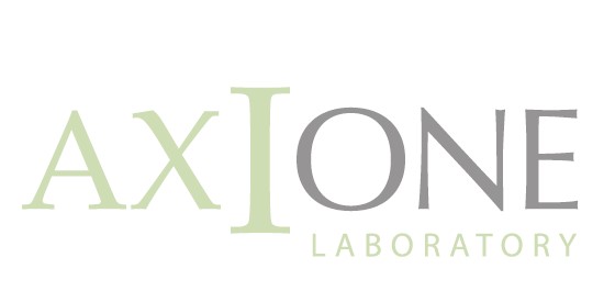 Axione Laboratory