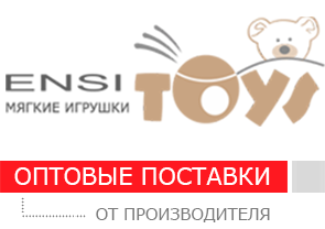 ЭНСИ ТОЙС